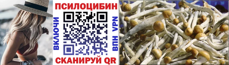 darknet Telegram  Морозовск  Галлюциногенные грибы GOLDEN TEACHER  даркнет сайт 