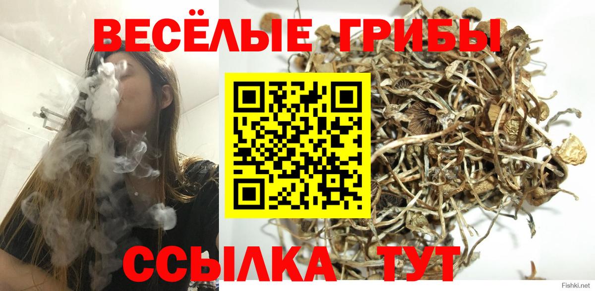 Псилоцибиновые грибы мухоморы Морозовск