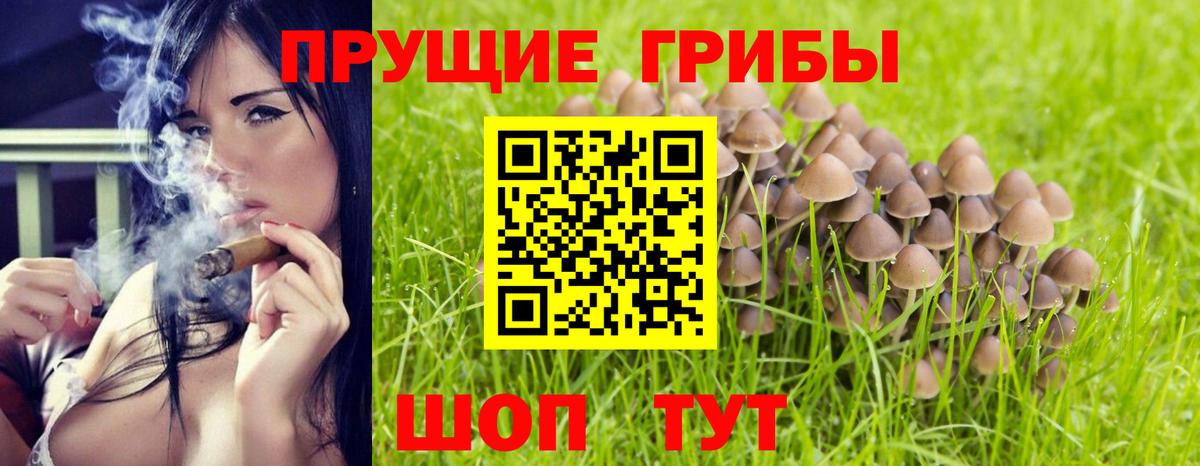 Псилоцибиновые грибы прущие грибы  Галлюциногенные грибы ЛСД  где продают наркотики  Вход с VPN  Морозовск 